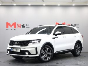 2022 Kia Sorento IV HEV 1.6 2WD Gravity с пробегом 56 547 км
