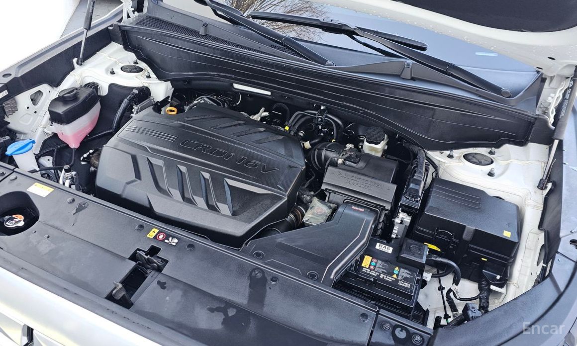 2023 Hyundai Palisade I Рестайлинг Diesel 2.2 4WD Calligraphy с пробегом 49 488 км