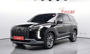 2024 Hyundai Palisade I Рестайлинг Diesel 2.2 4WD Le Blanc с пробегом 17 956 км