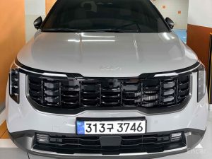 2025 Kia Carnival IV Рестайлинг HEV 9seater Gravity с пробегом 4 200 км