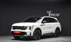 2024 Kia Sorento IV Рестайлинг HEV 1.6 2WD Gravity с пробегом 17 418 км