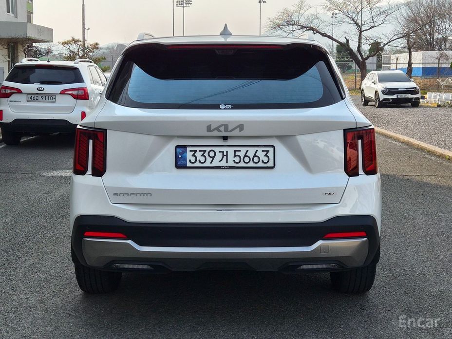 2024 Kia Sorento IV Рестайлинг HEV 1.6 2WD Signature с пробегом 24 515 км