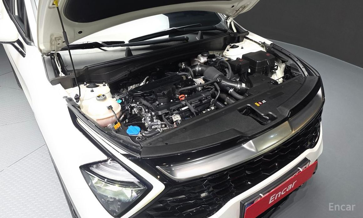 2022 Kia Sportage V Gasoline 1.6 Turbo 2WD Nobleless с пробегом 49 939 км