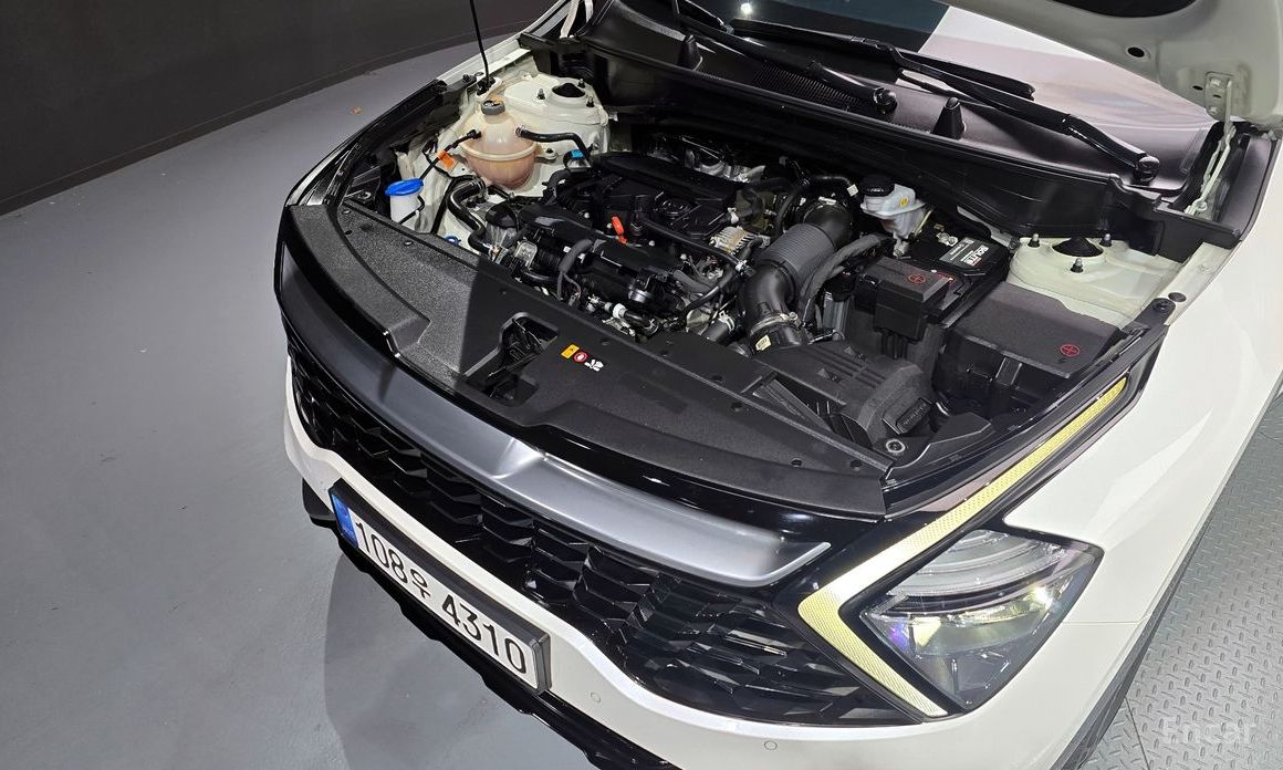 2021 Kia Sportage V Gasoline 1.6 Turbo 2WD Nobleless с пробегом 36 393 км