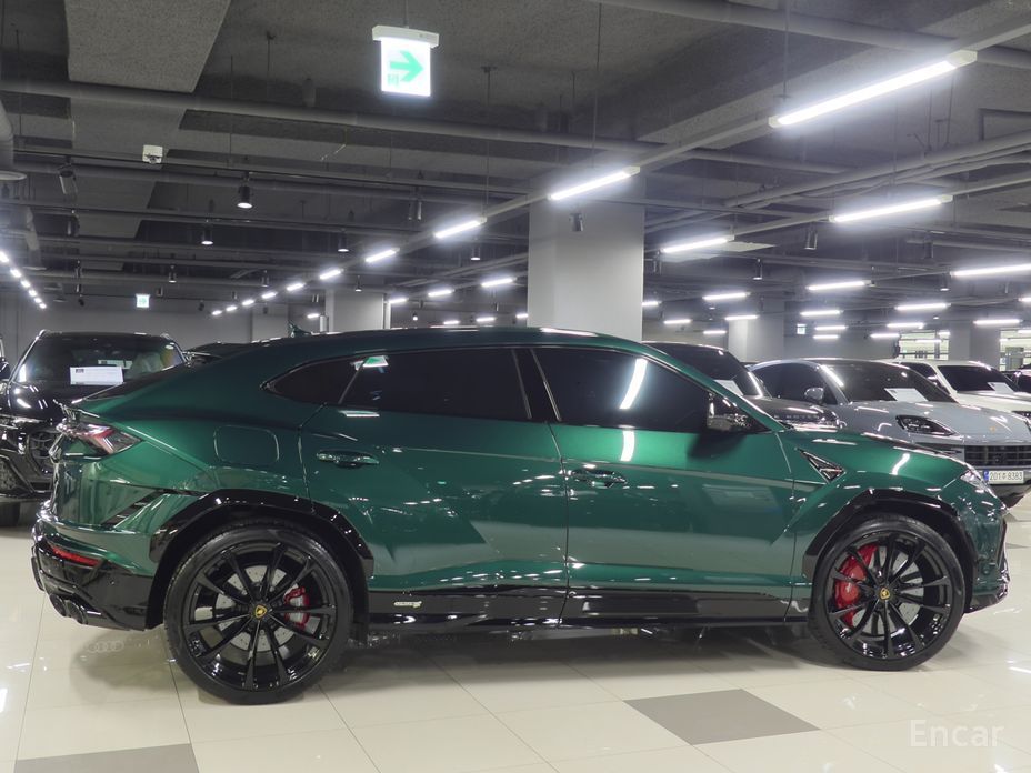 2024 Lamborghini Urus I Рестайлинг 4.0 V8 S с пробегом 6 500 км