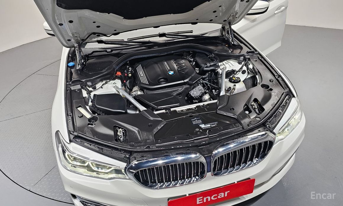 2019 BMW 5 серии VII (G30/G31) 520d Luxury Plus с пробегом 71 792 км