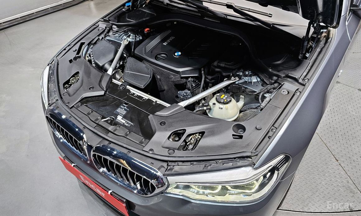 2018 BMW 5 серии VII (G30/G31) 520d Luxury Special Edition с пробегом 85 639 км