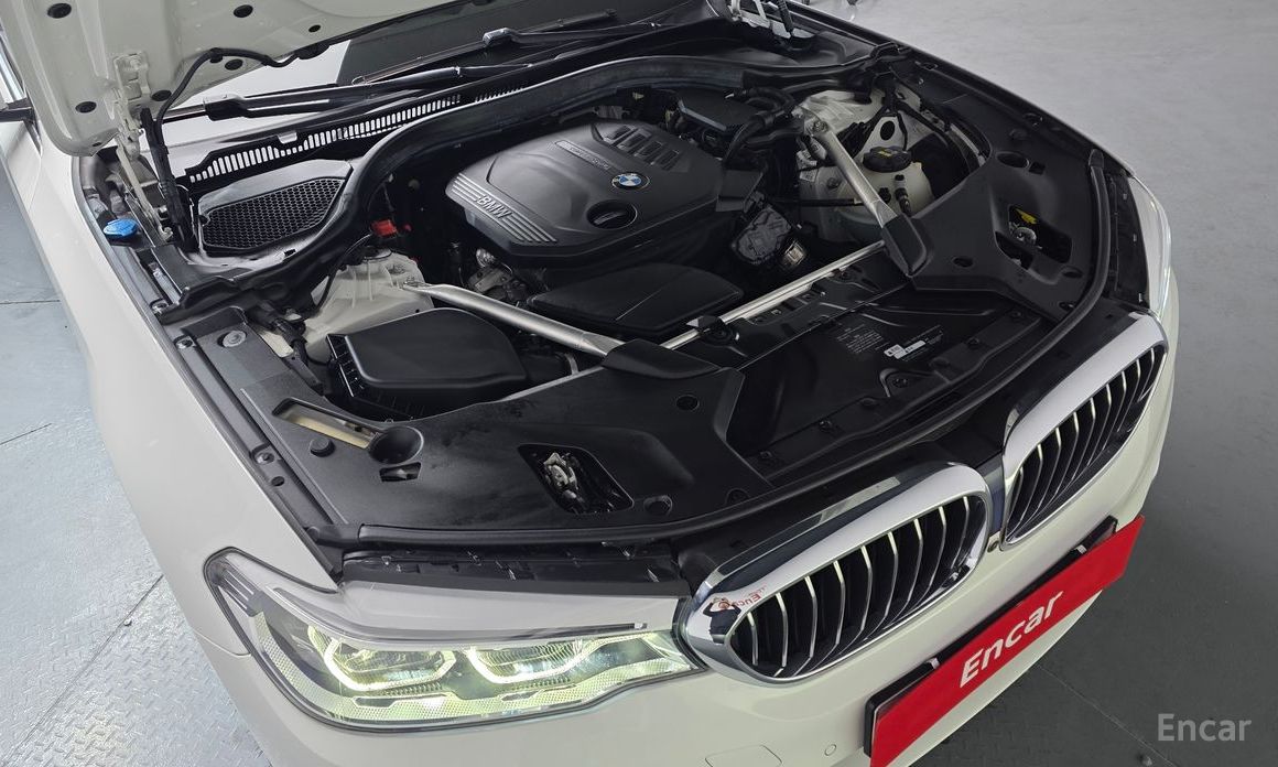 2019 BMW 5 серии VII (G30/G31) 520d Luxury Plus с пробегом 66 168 км