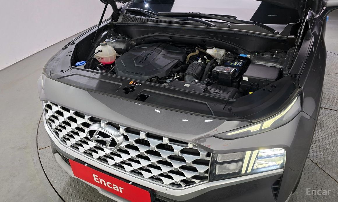 2020 Hyundai Santa Fe IV Рестайлинг Diesel 2.2 2WD Premium с пробегом 94 239 км