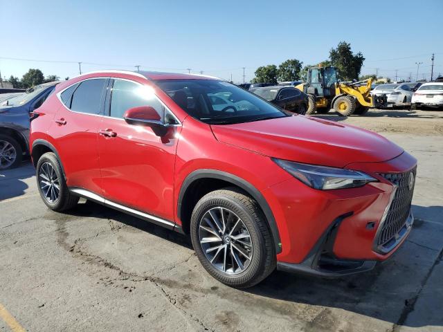 LEXUS NX 250 PREMIUM 2025