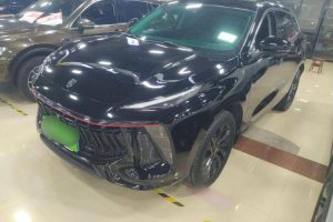 Dongfeng T5 EVO 2021