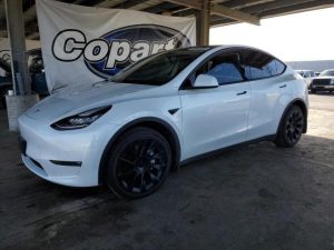 TESLA MODEL Y 2021