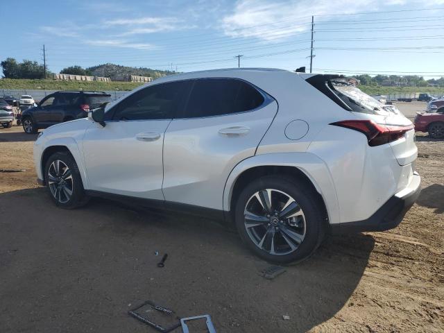 LEXUS UX 300H BASE 2025