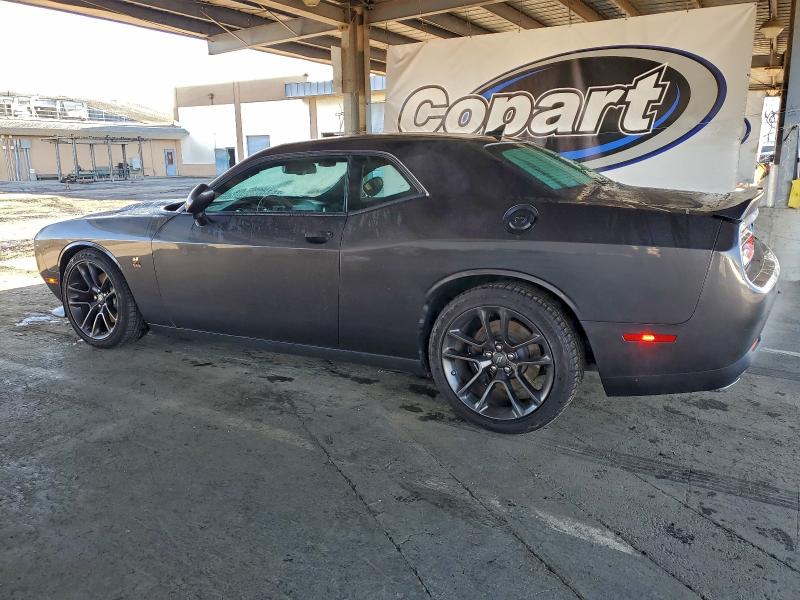 DODGE CHALLENGER R/T SCAT PACK 2023