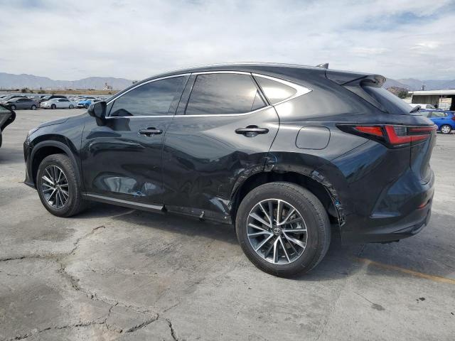 LEXUS NX 350H 2022