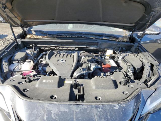 LEXUS NX 350 2023