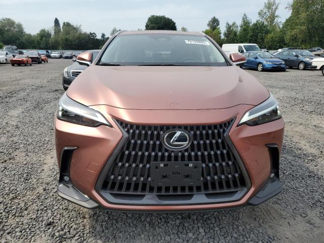 LEXUS NX 350H BASE 2025