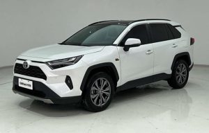 TOYOTA RAV4 2023