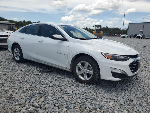 CHEVROLET MALIBU LS 2024