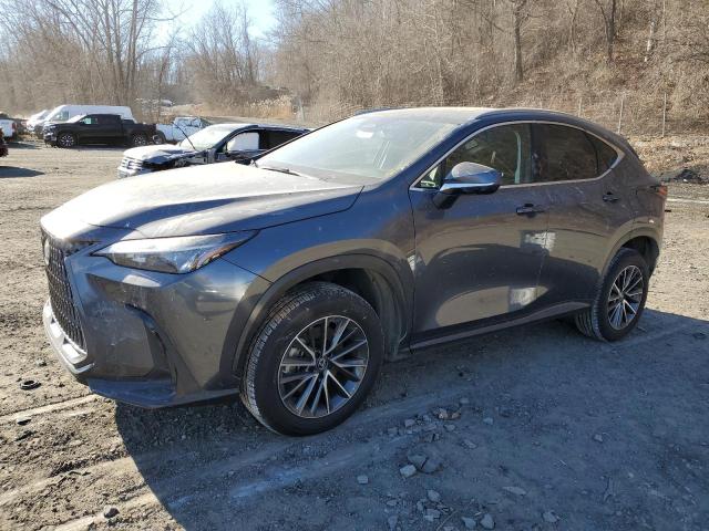 LEXUS NX 350 2023