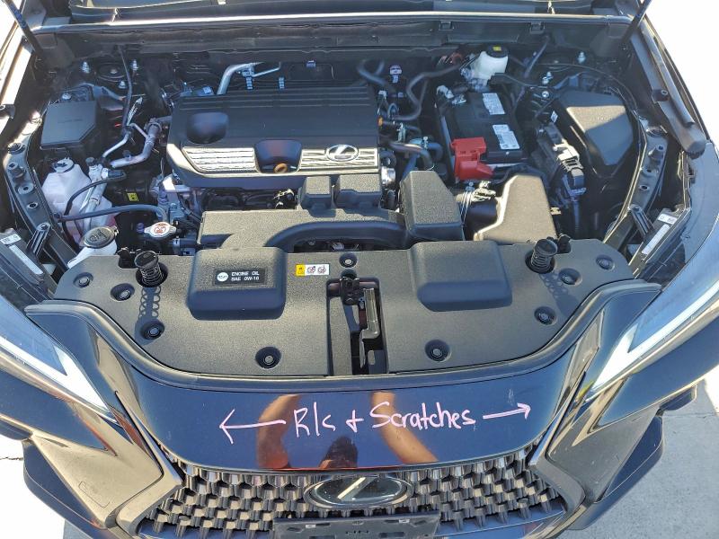 LEXUS NX 250 BASE 2024