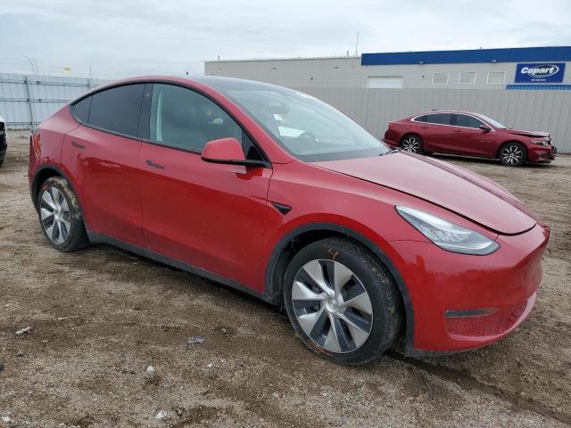 TESLA MODEL Y 2020