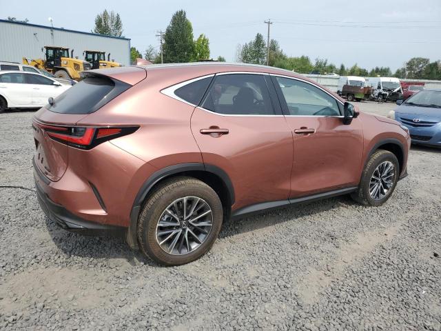 LEXUS NX 350H BASE 2025