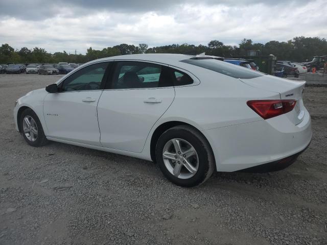 CHEVROLET MALIBU LS 2023