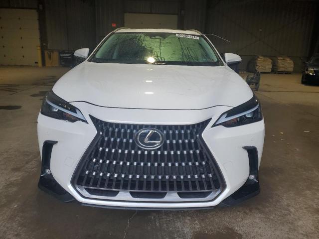 LEXUS NX 350 PREMIUM 2024