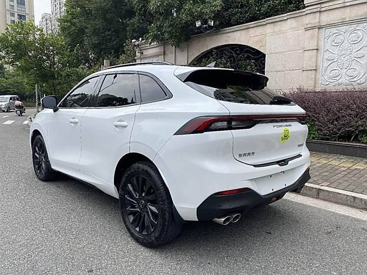 Fengxing T5 EVO 2021