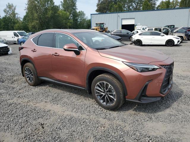 LEXUS NX 350H BASE 2025