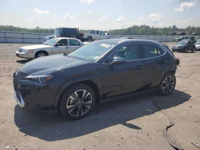 LEXUS UX 250H PREMIUM 2023