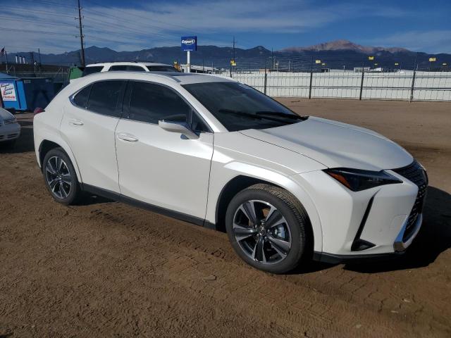 LEXUS UX 300H BASE 2025