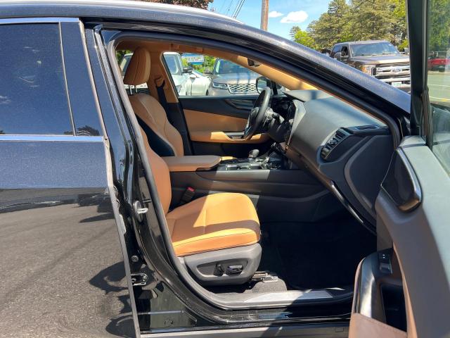 LEXUS NX 250 2022