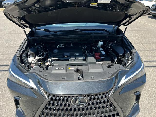 LEXUS NX 250 2022