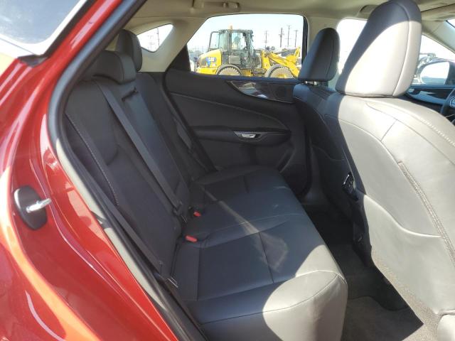 LEXUS NX 250 PREMIUM 2025
