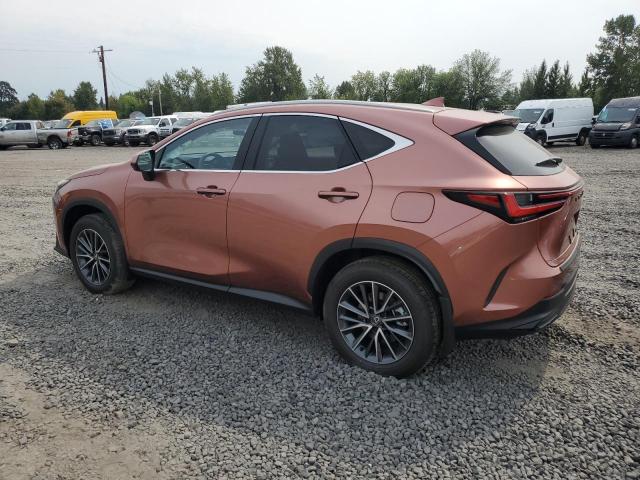 LEXUS NX 350H BASE 2025
