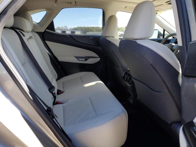 LEXUS NX 350 LUXURY 2024