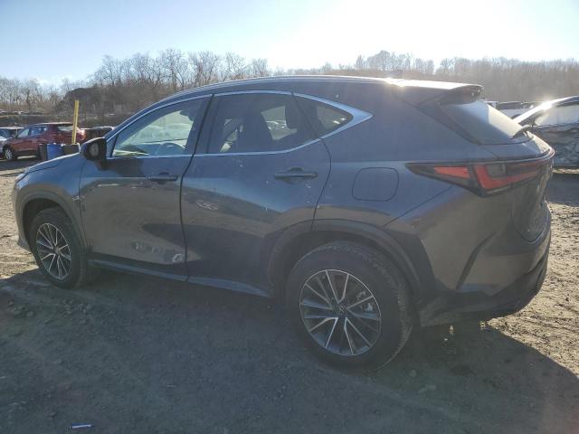 LEXUS NX 350 2023