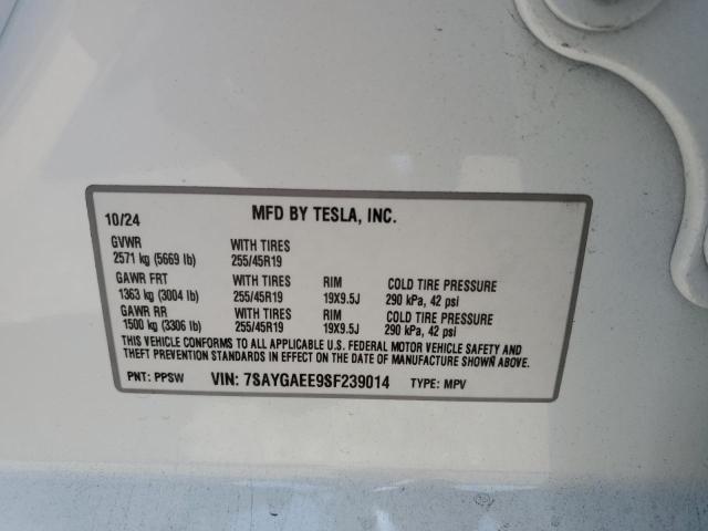 TESLA MODEL Y 2024