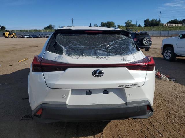 LEXUS UX 300H BASE 2025