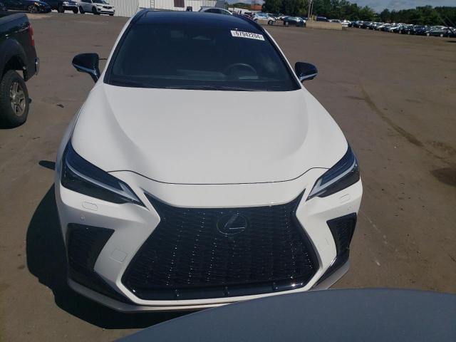LEXUS NX 350 LUXURY 2025