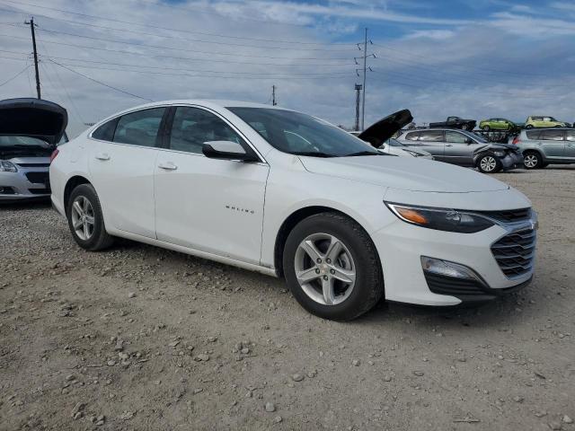 CHEVROLET MALIBU LS 2024