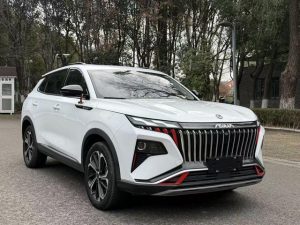 Dongfeng Huge 2022