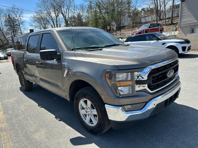 FORD F150 SUPERCREW 2023
