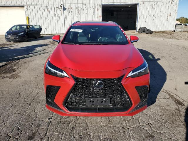 LEXUS NX 350 PREMIUM 2024