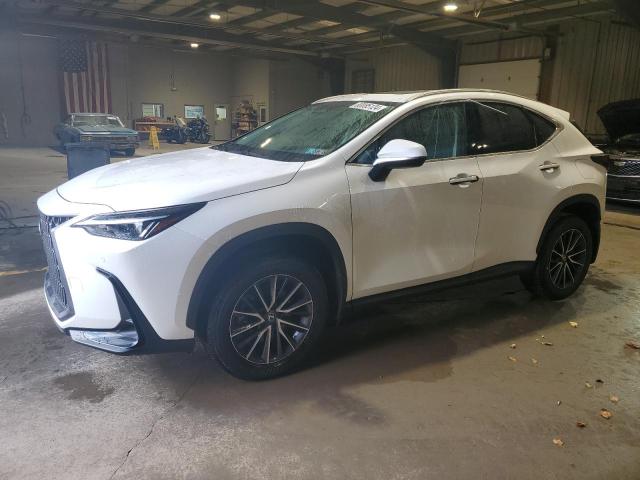 LEXUS NX 350 PREMIUM 2024
