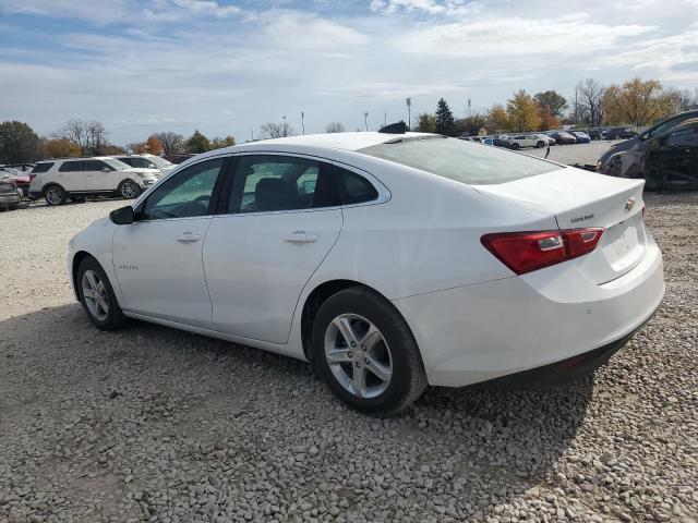 CHEVROLET MALIBU LS 2024