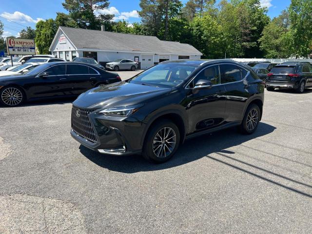LEXUS NX 250 2022