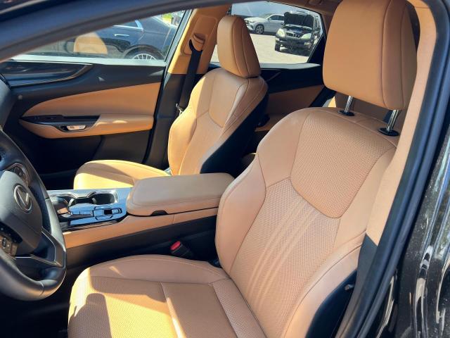 LEXUS NX 250 2022